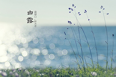 白露降，秋意濃